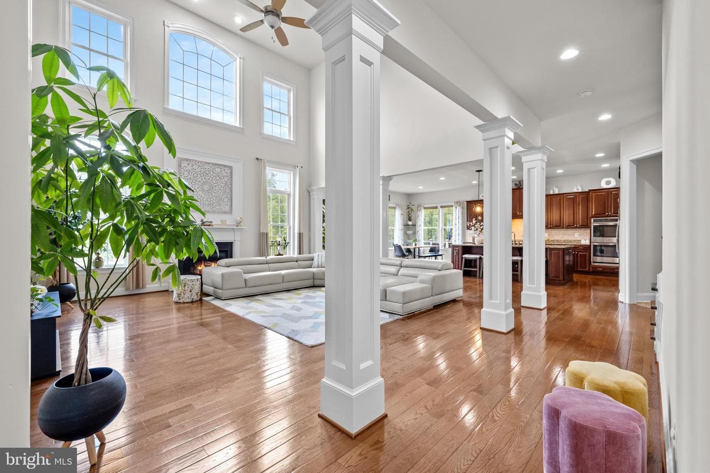 25746 Purebred Court photo 13
