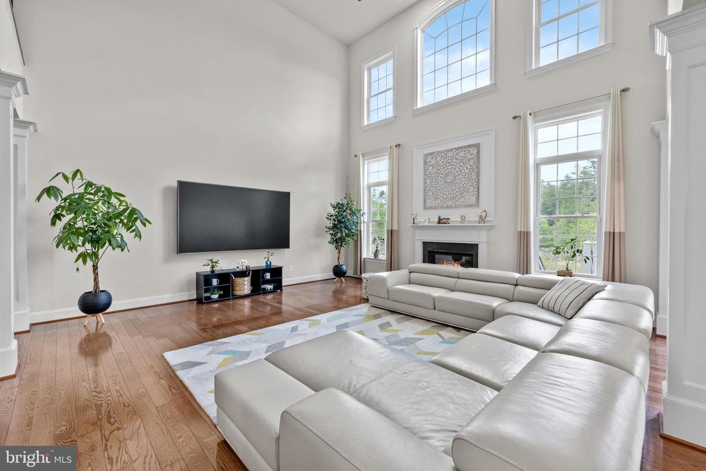 25746 Purebred Court photo 15