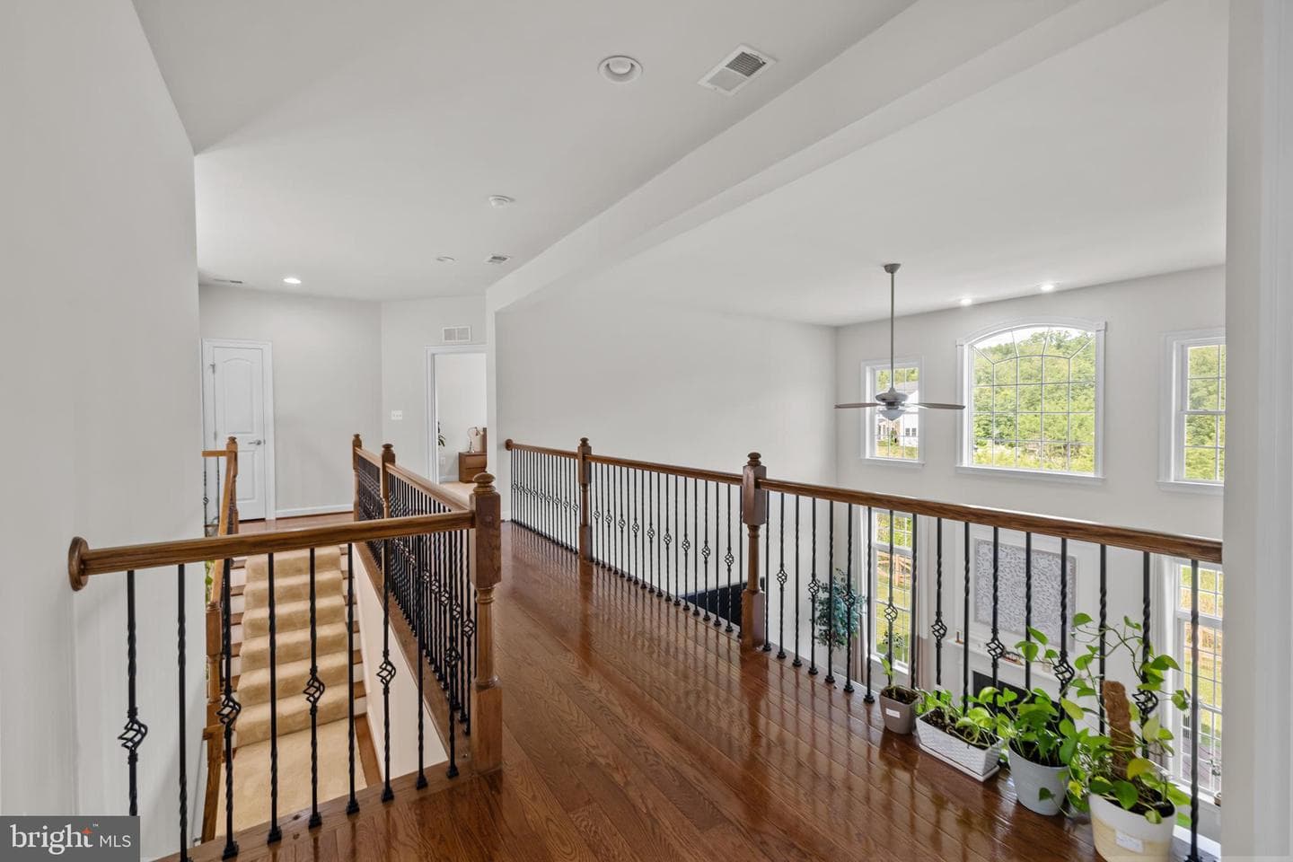 25746 Purebred Court photo 34