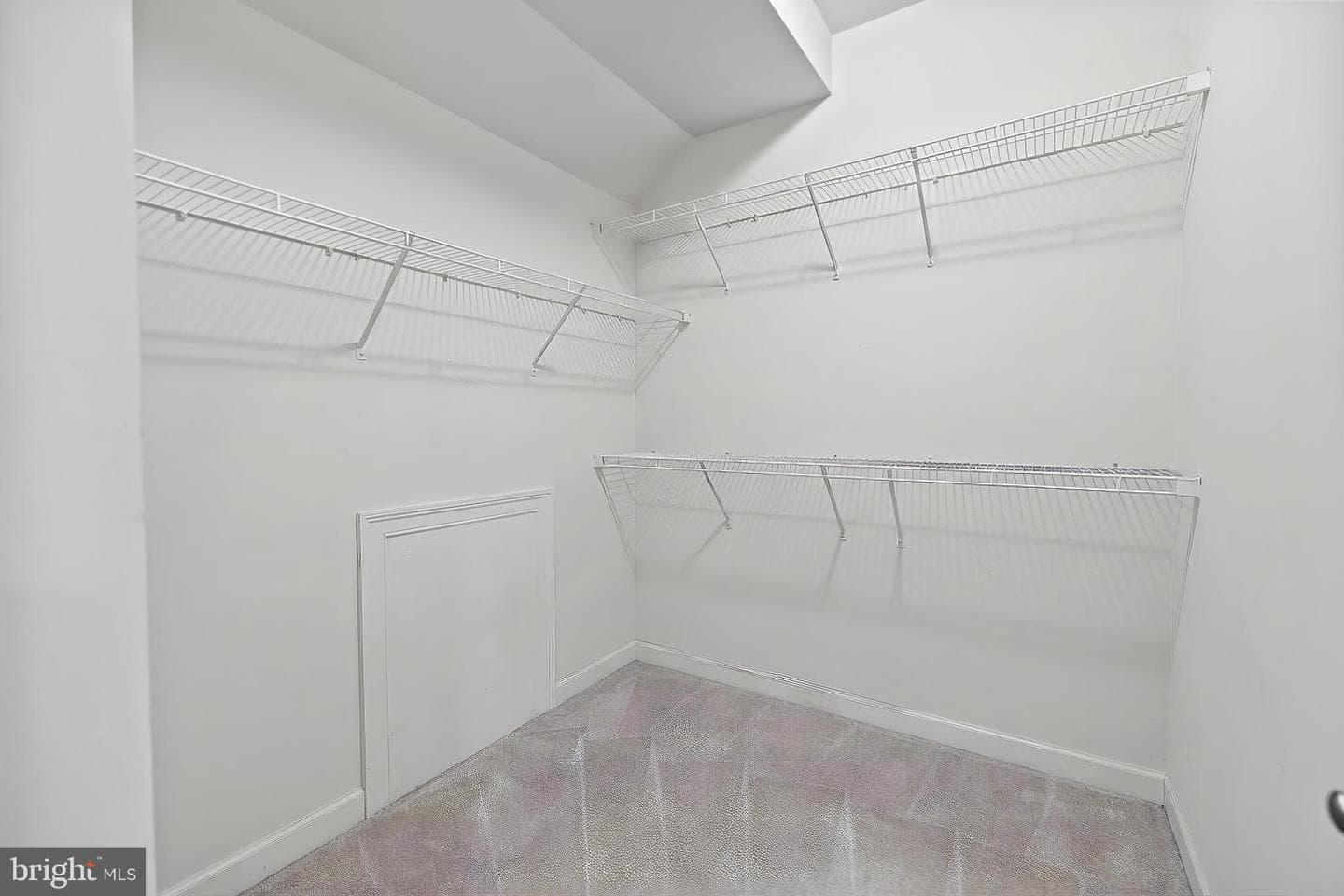 25746 Purebred Court photo 47