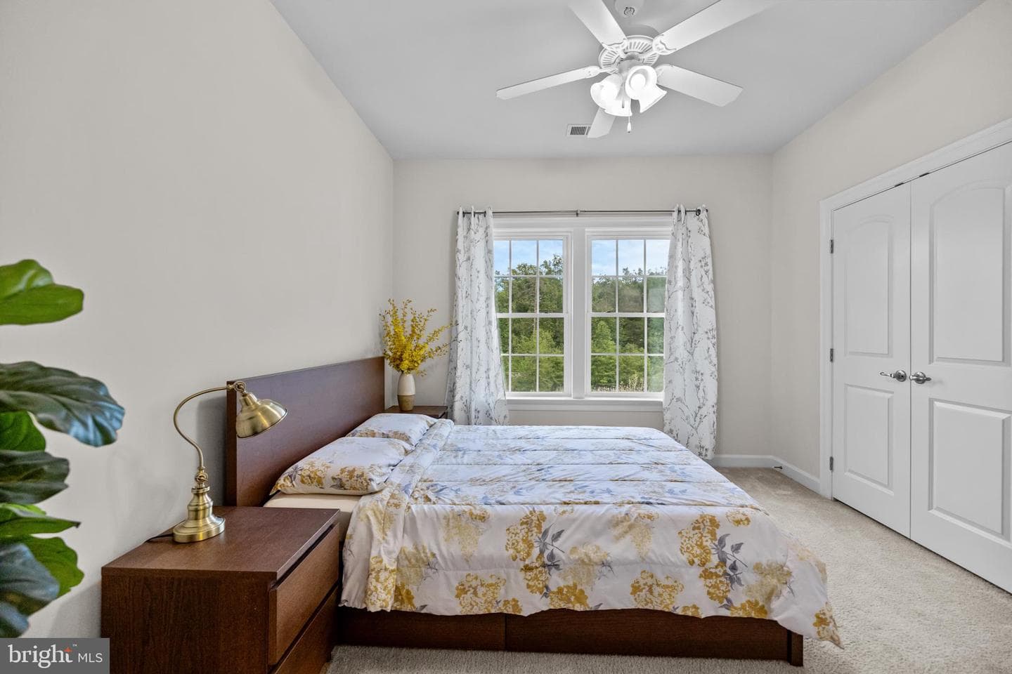25746 Purebred Court photo 56