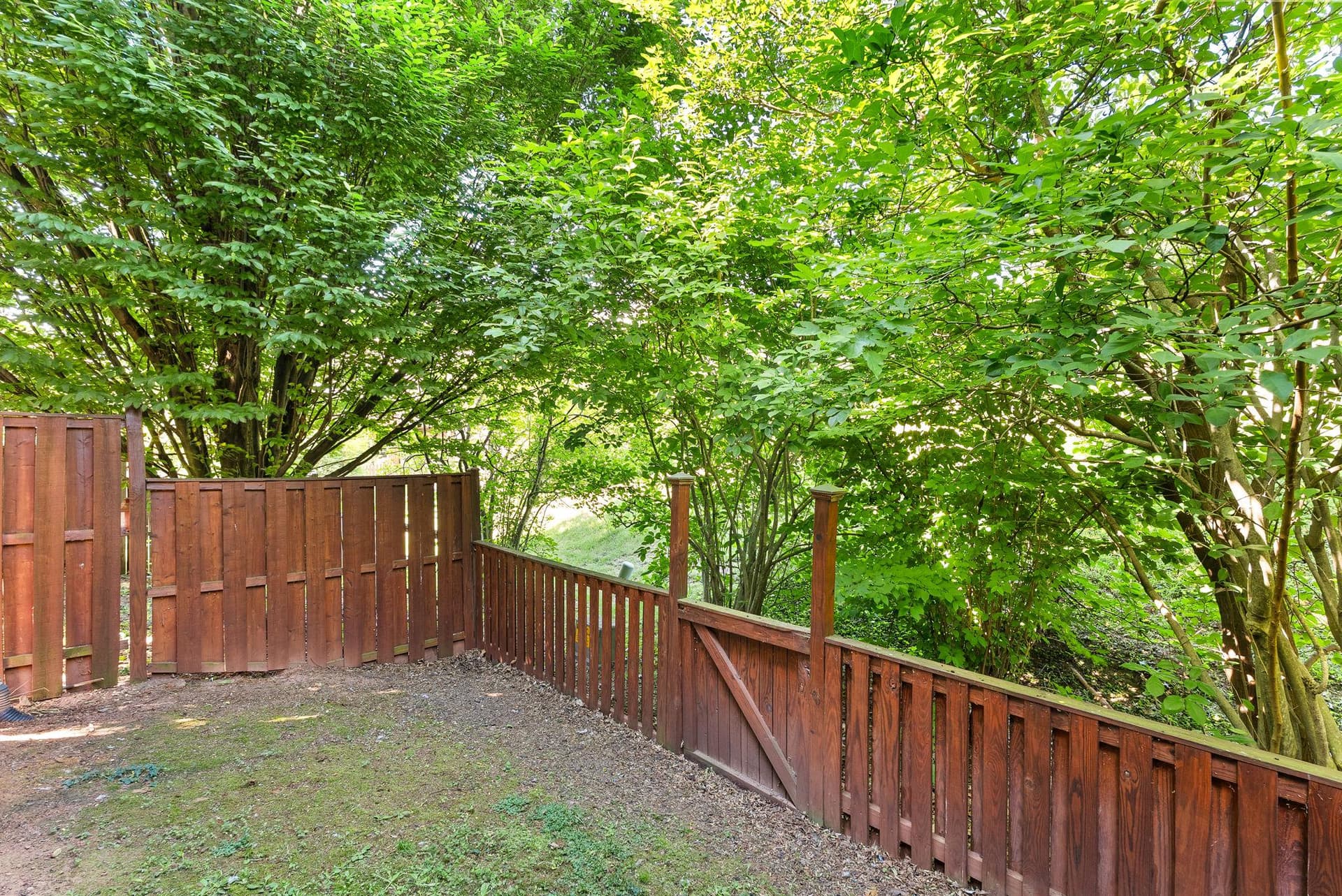44168 Paget Terrace photo 37