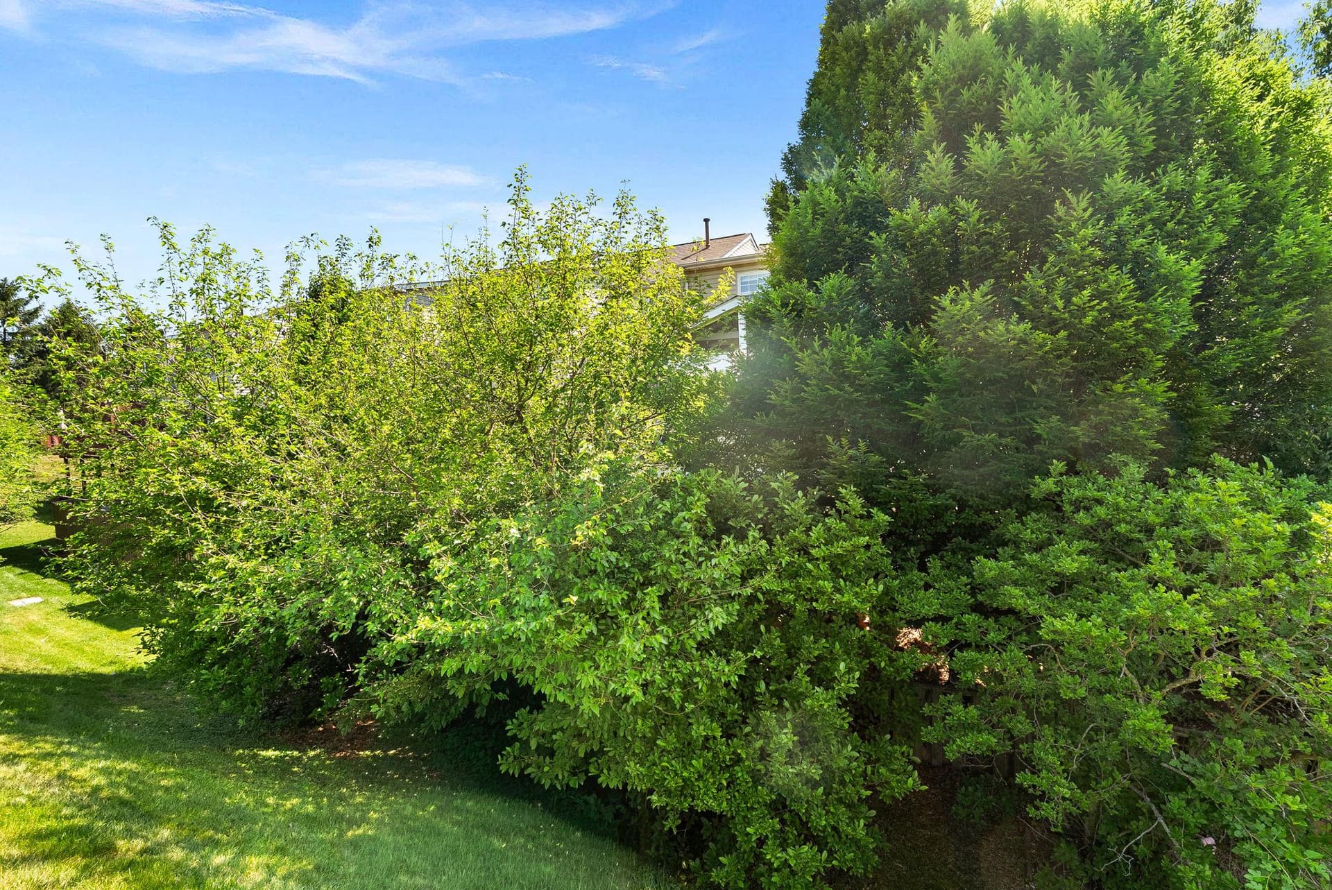 44168 Paget Terrace photo 38