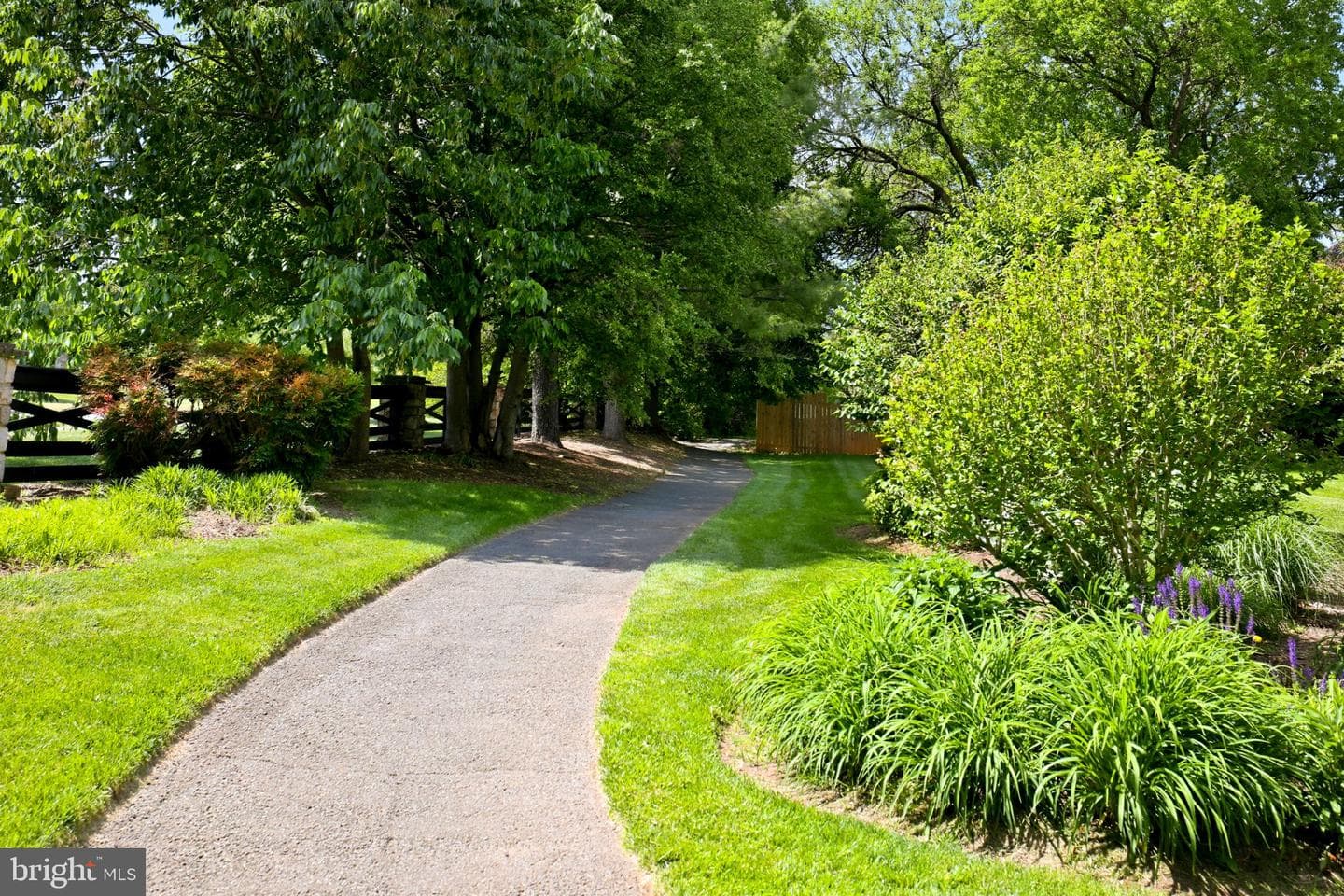 4 Linden Hill Way SW photo 16