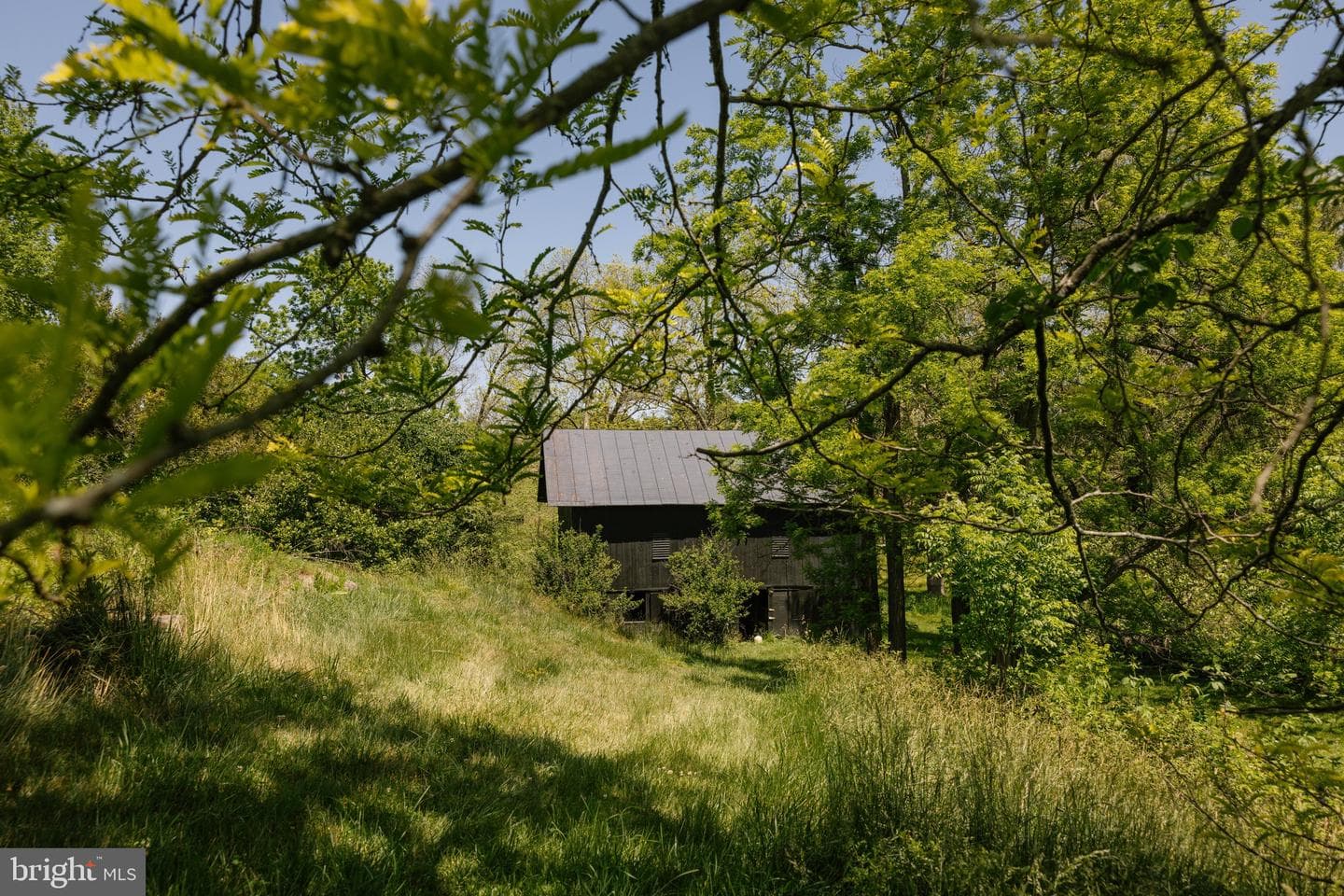 37961 Forest Mills Rd photo 113