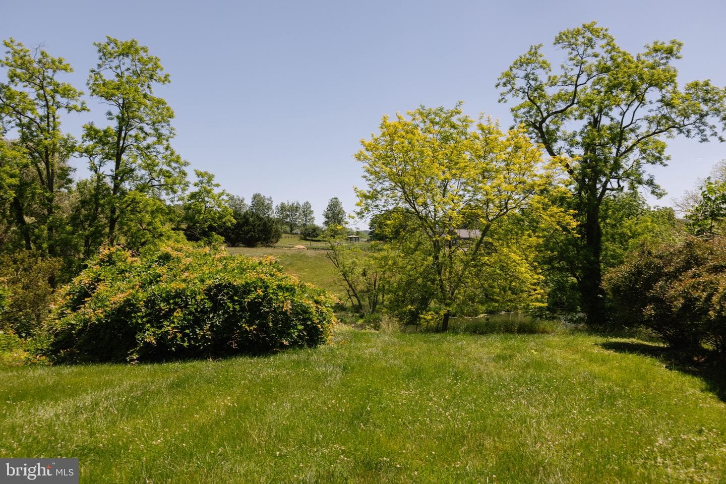37961 Forest Mills Rd photo 117