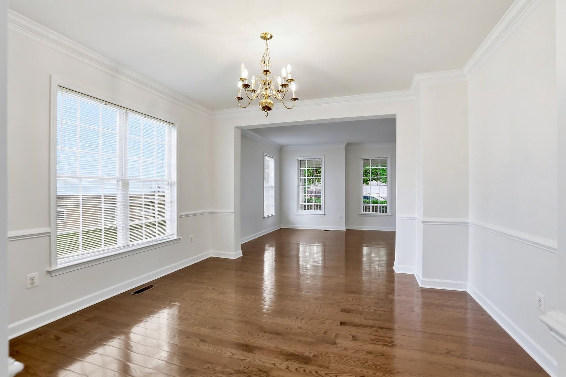 22938 Goldenrod photo 20