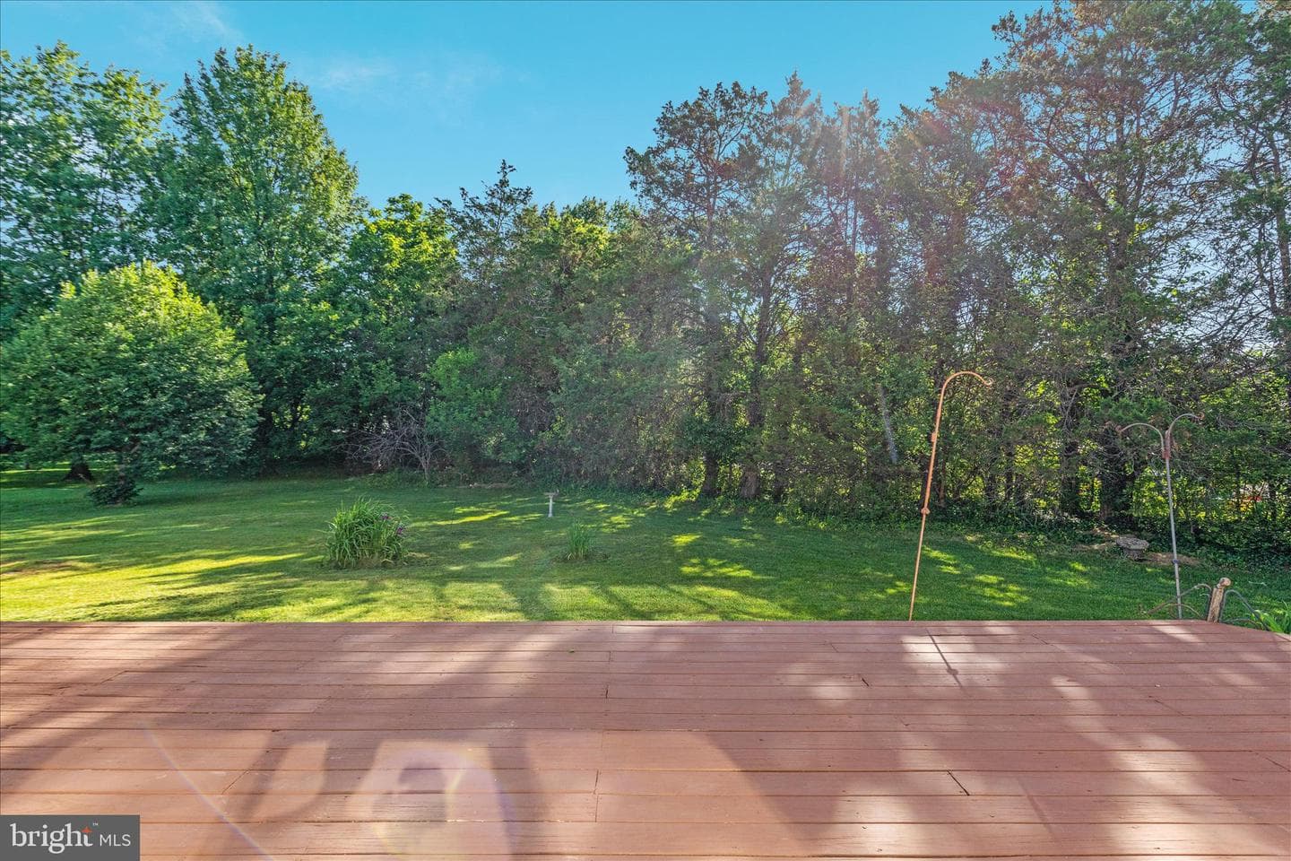 43870 Ludlum Court photo 53