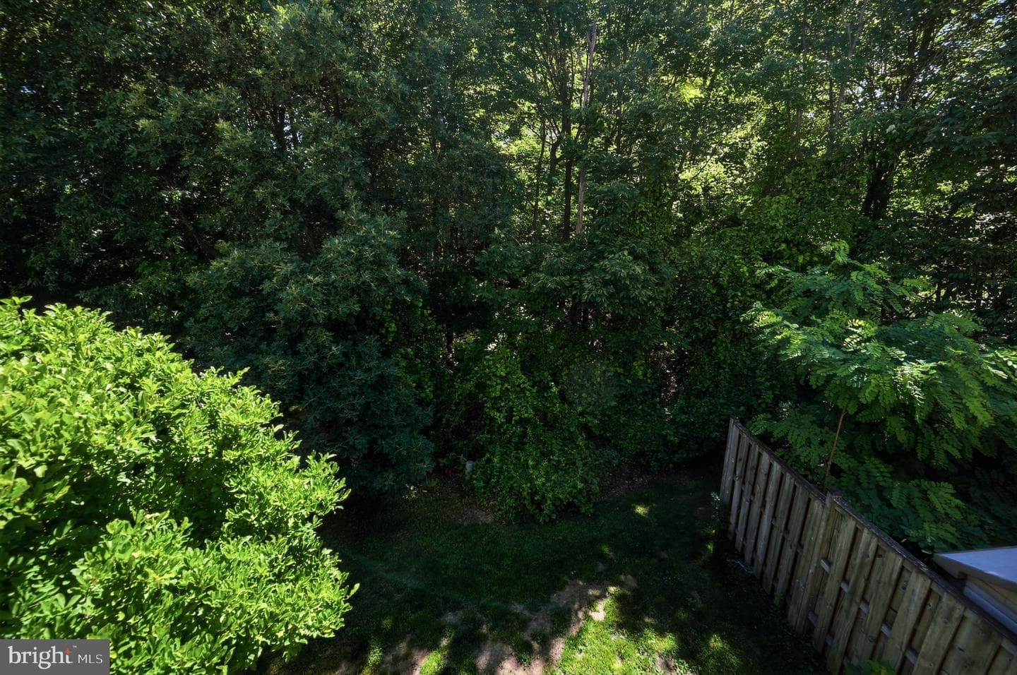 22330 Great Trail Terrace photo 35