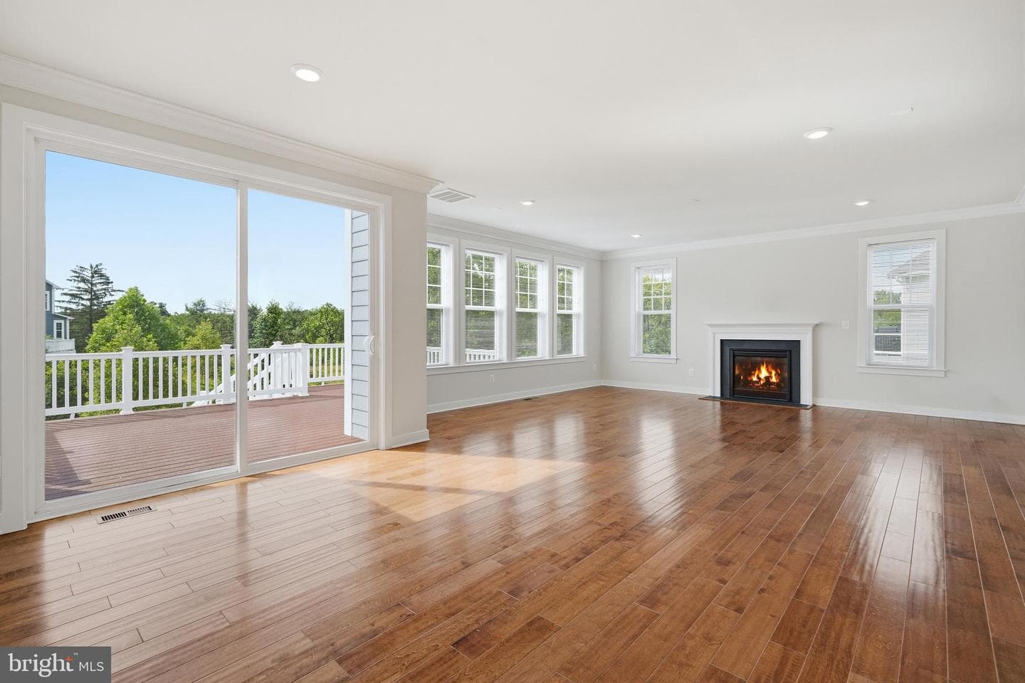 43020 Cattail Marsh Place photo 10