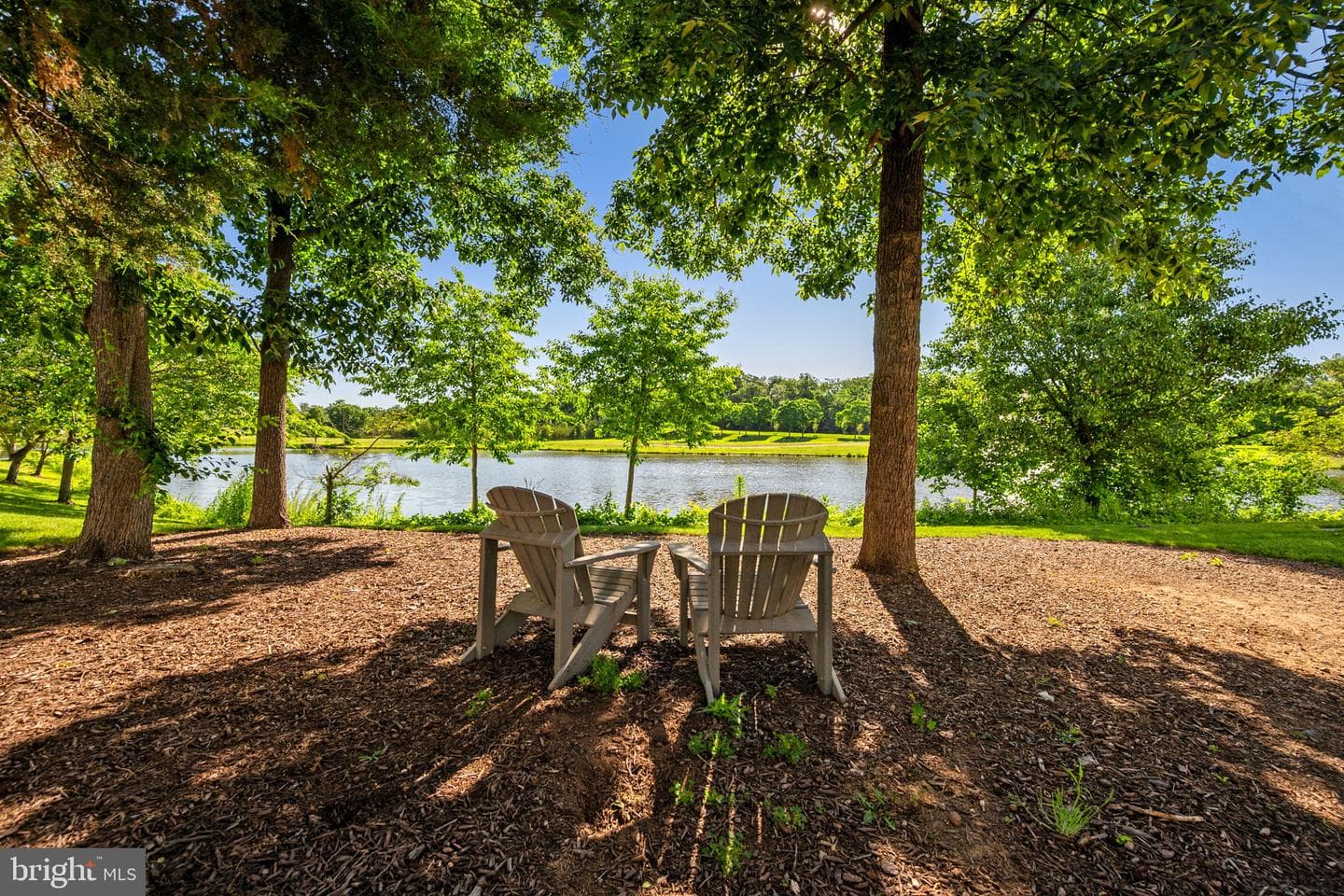 25300 Lake Mist Square #101 photo 10
