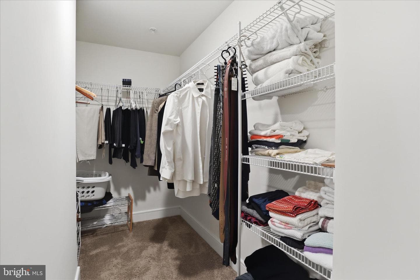 42851 Littlehales Terrace photo 29