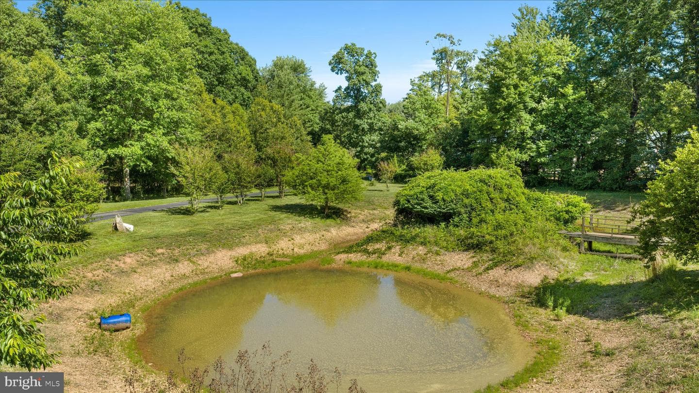 41216 Bridges Farm Lane, Leesburg