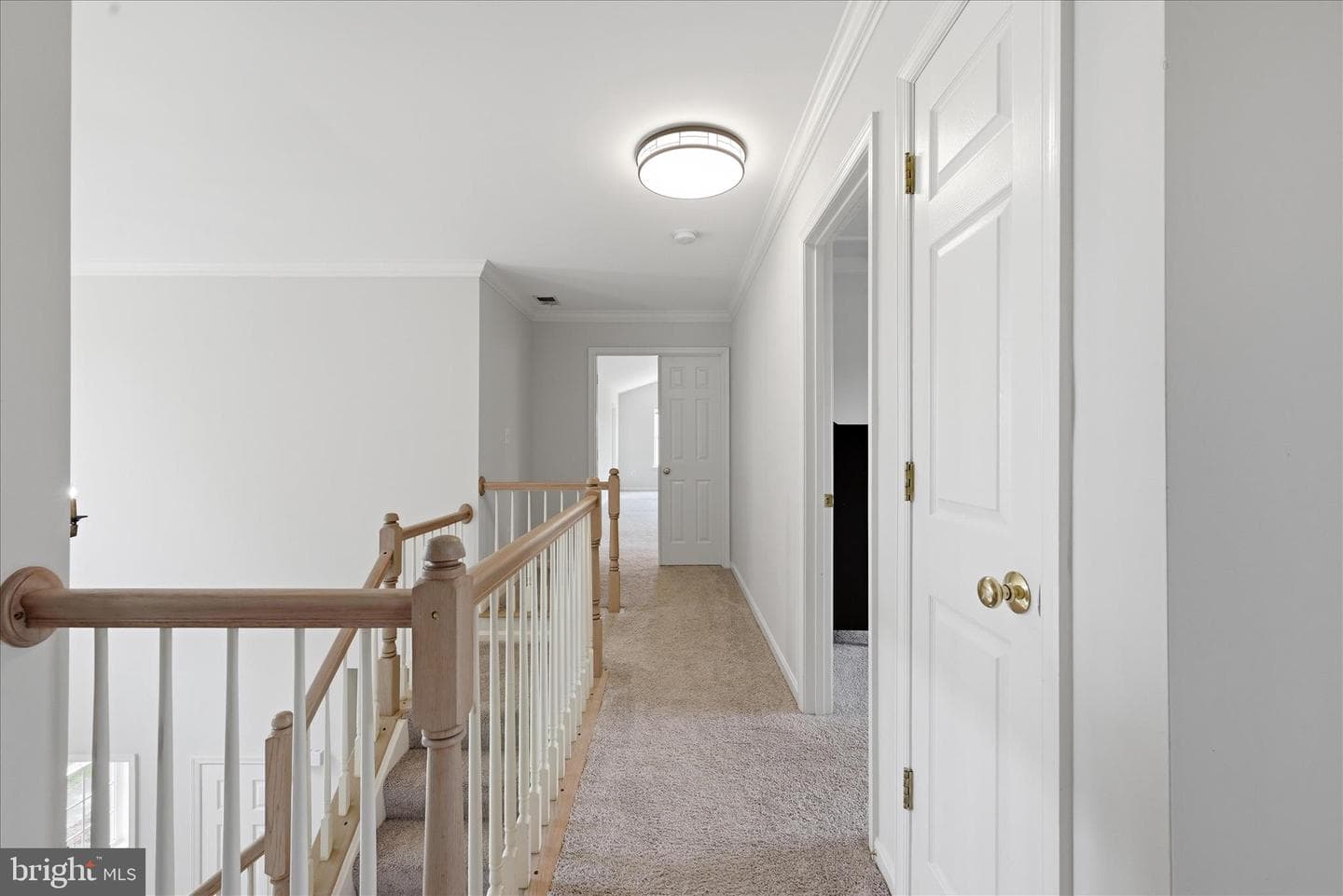 40910 Meadow Vista Place photo 23