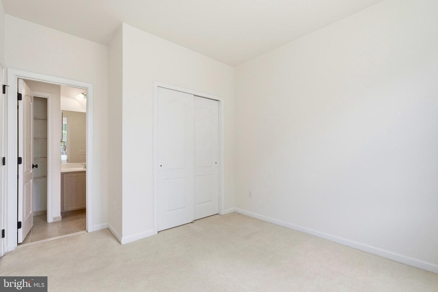 42817 Pamplin Terrace photo 38
