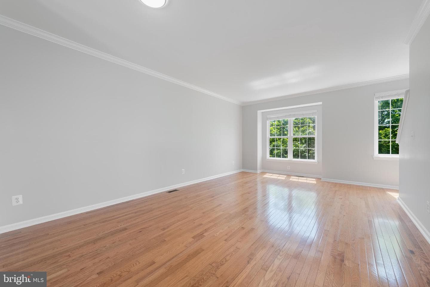 25165 Femoyer Terrace photo 12
