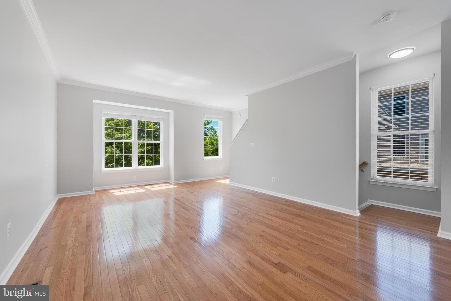 25165 Femoyer Terrace photo 13