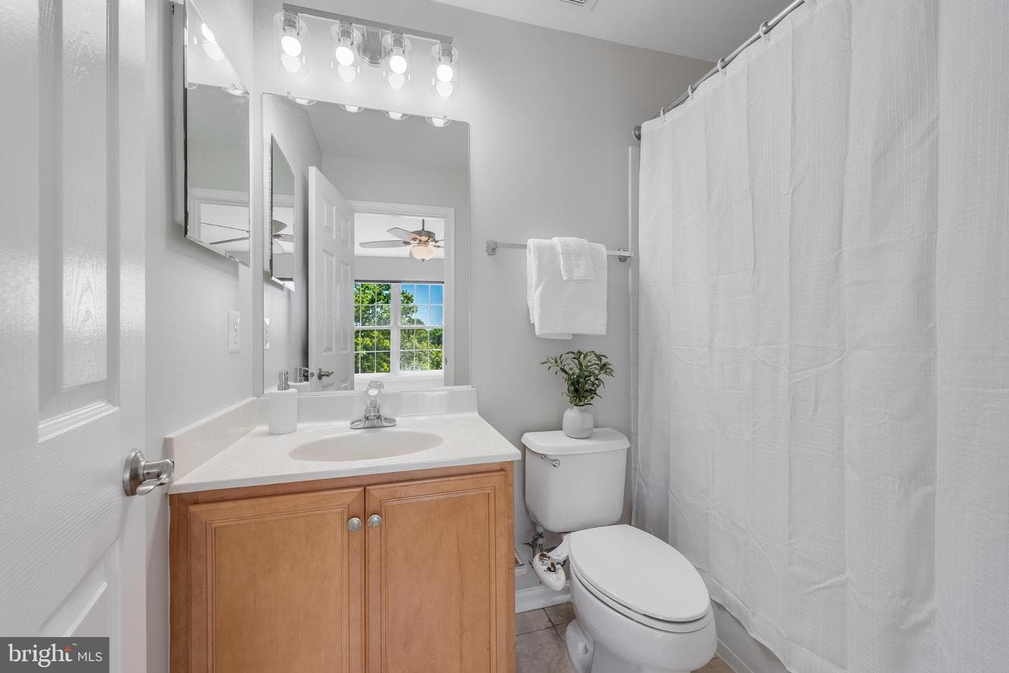 25165 Femoyer Terrace photo 21