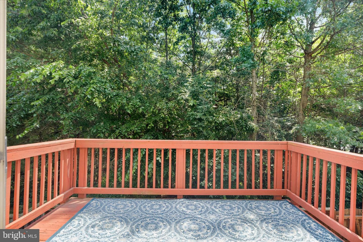 21436 Falling Rock Terrace photo 27