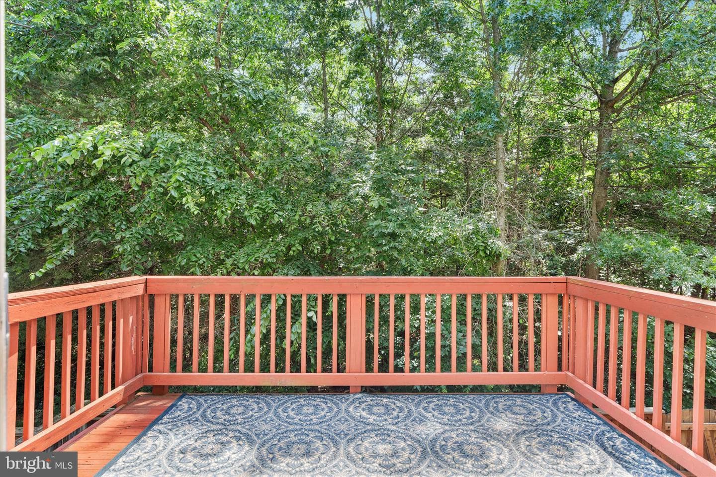 21436 Falling Rock Terrace photo 28
