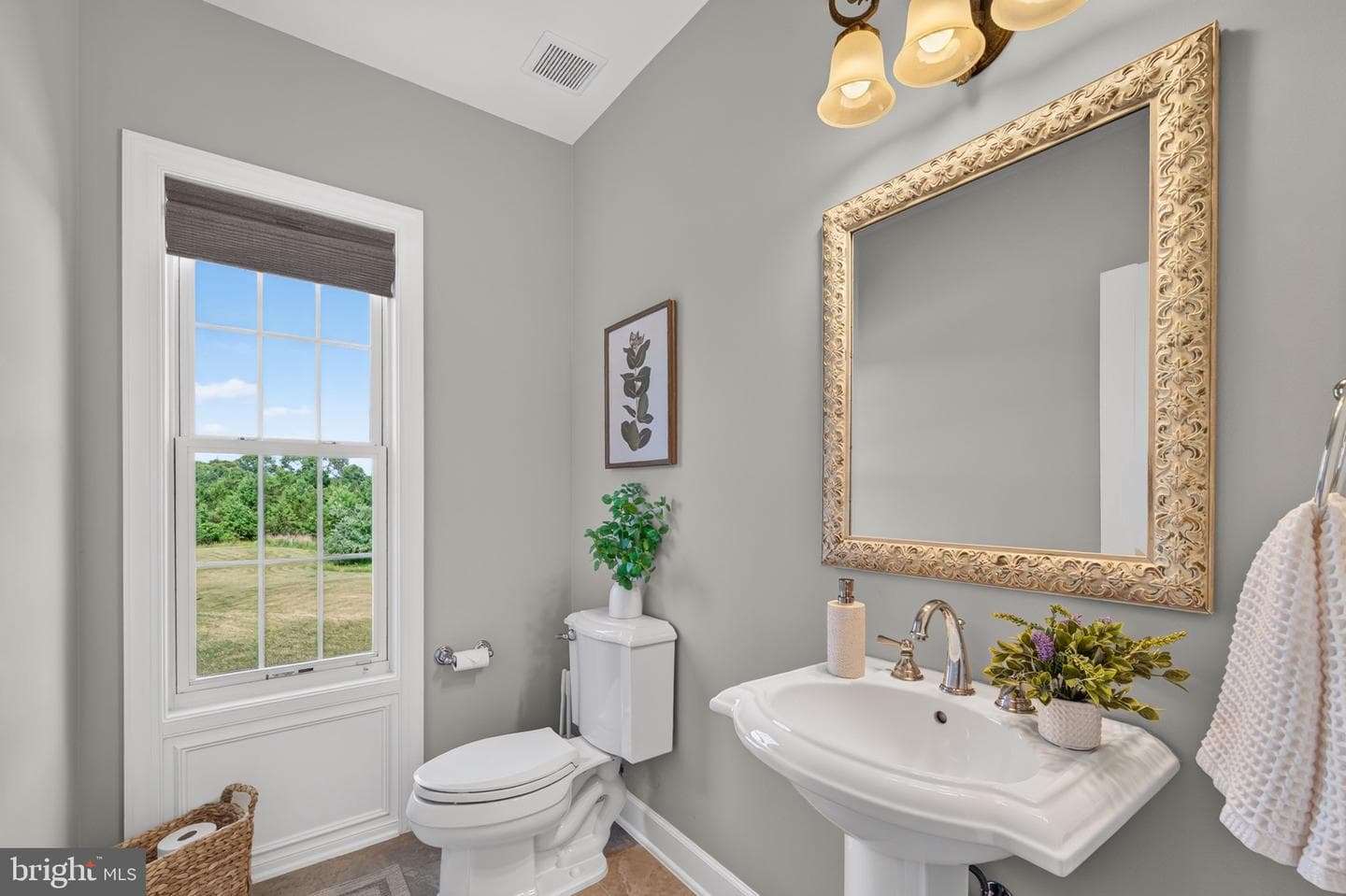 20882 Mcintosh Place photo 19