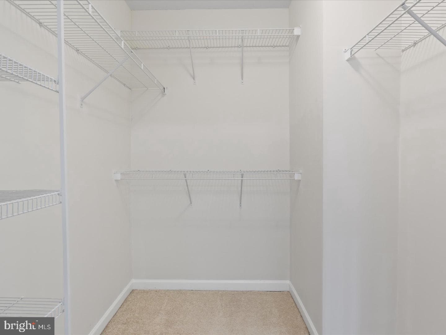 25435 Peaceful Terrace photo 19