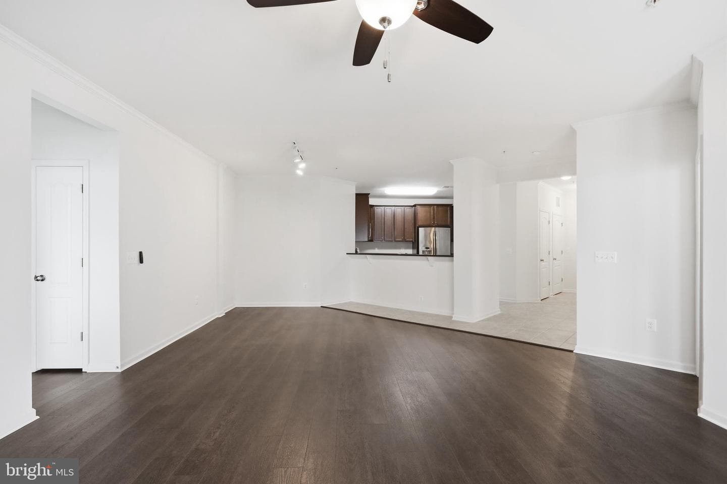 24636 Woolly Mammoth Terrace #207 photo 19