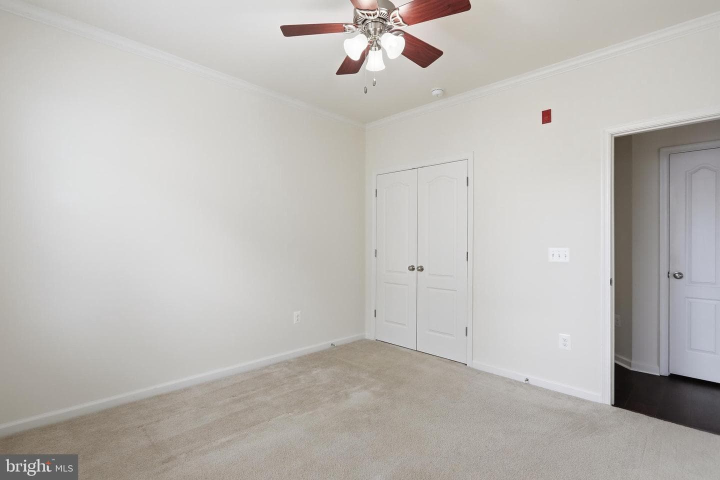 24636 Woolly Mammoth Terrace #207 photo 34