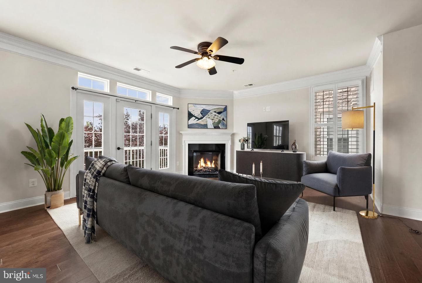 42572 Wildly Terrace photo 4