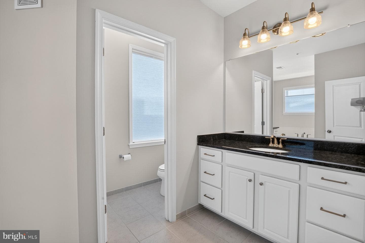 24498 Amherst Forest Terrace photo 14