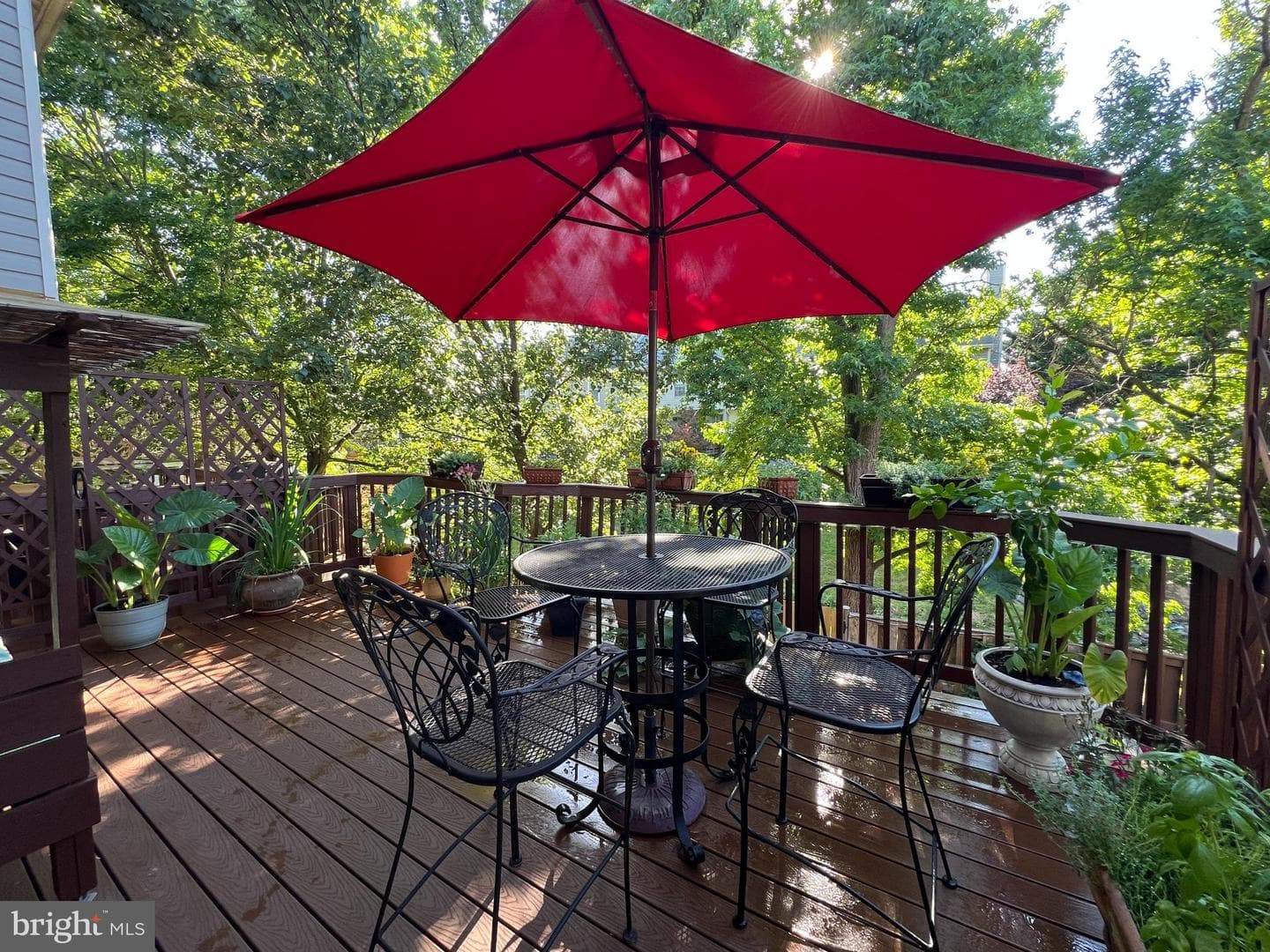 46572 Broadspear Terrace photo 24
