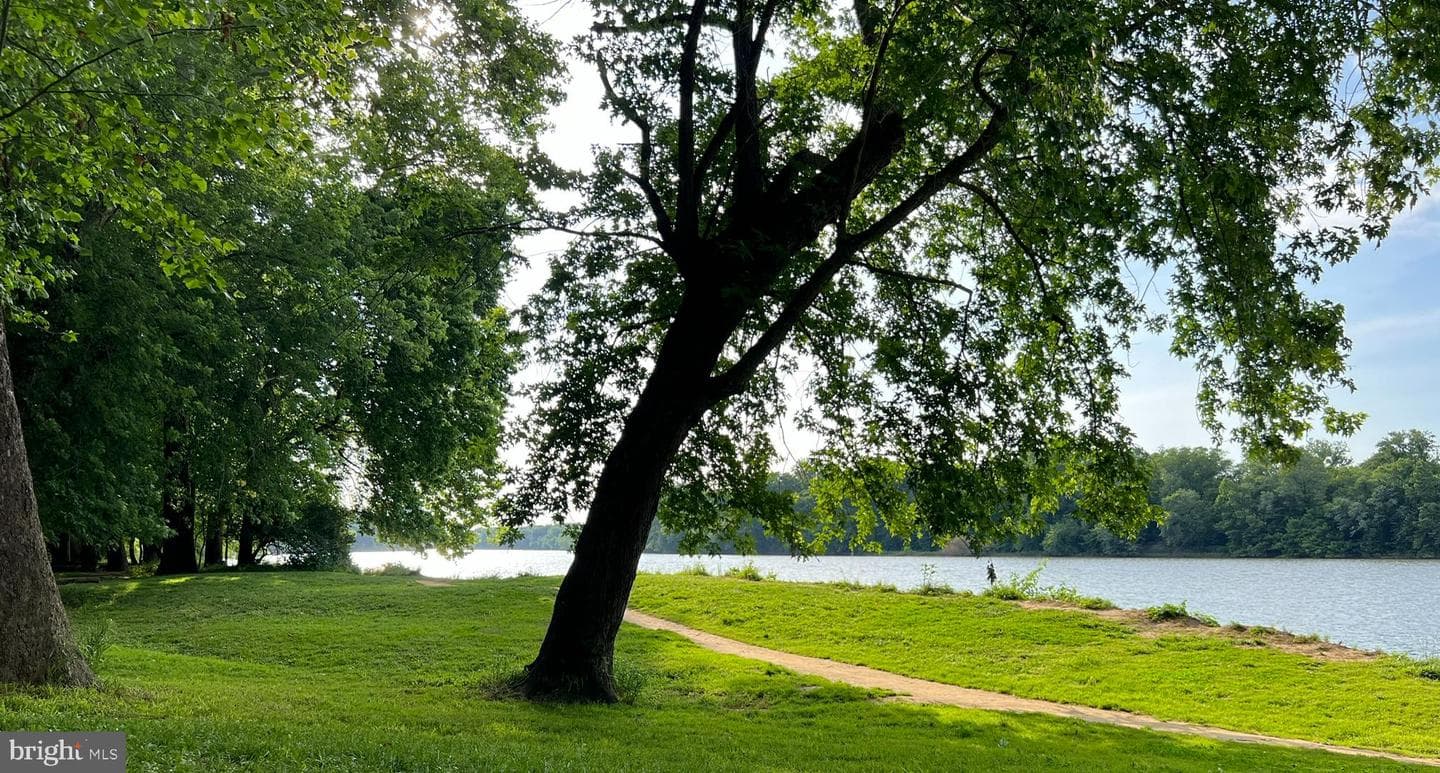 46572 Broadspear Terrace photo 33