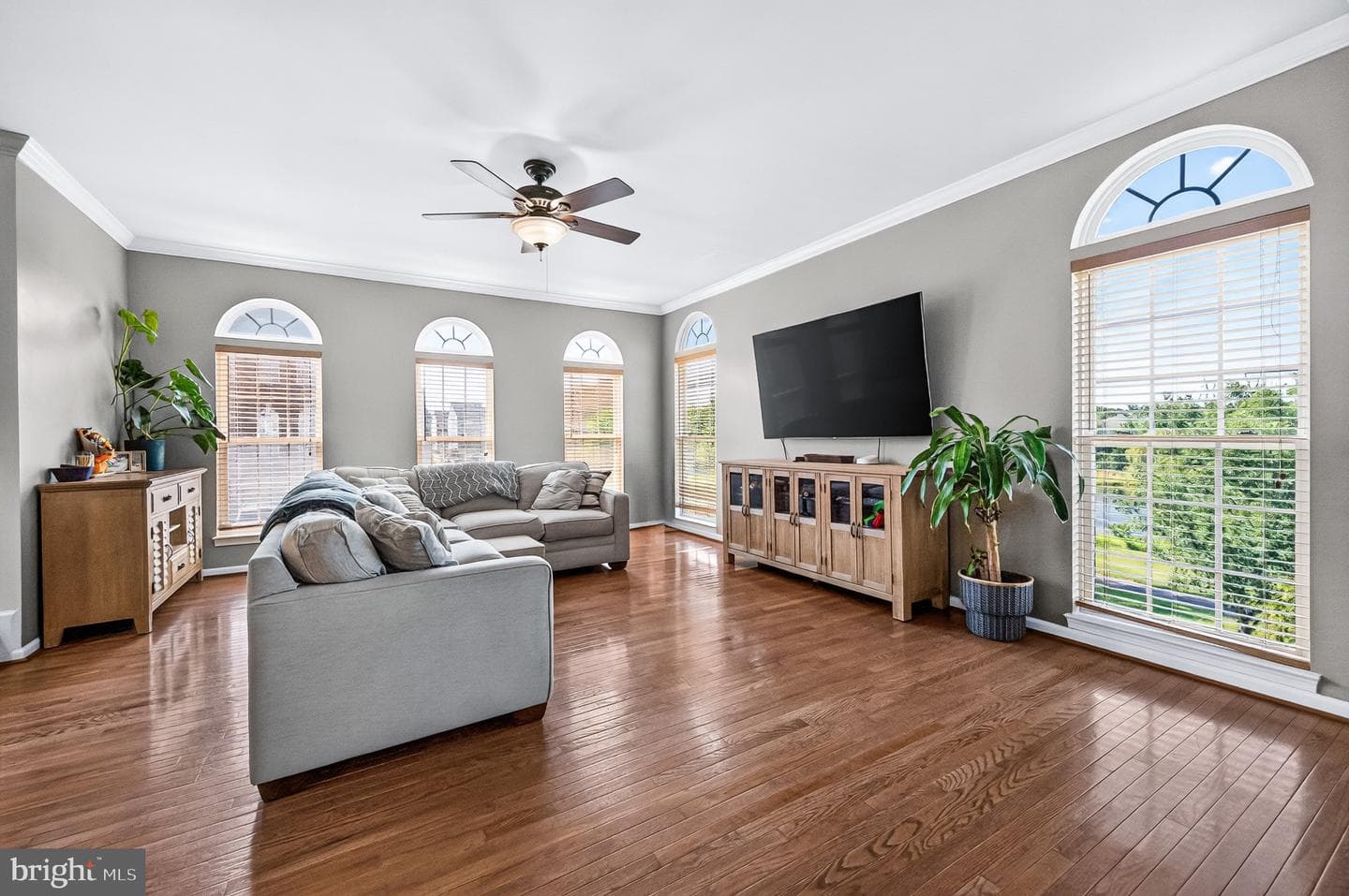 25399 Peaceful Terrace photo 4