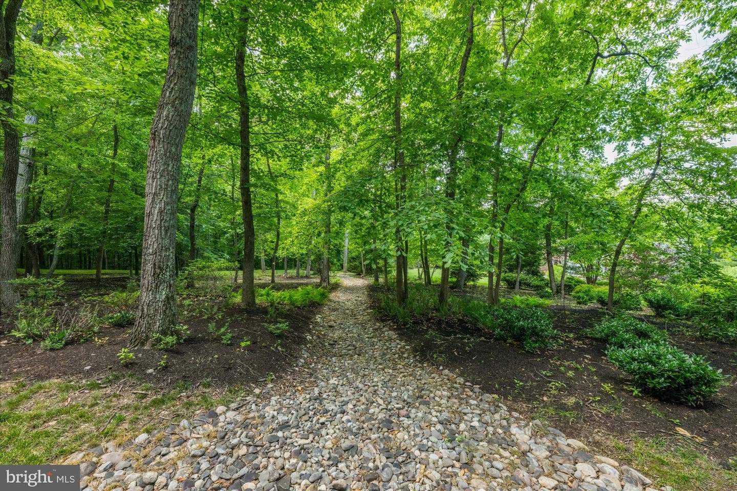 21750 Laurel Wood photo 8