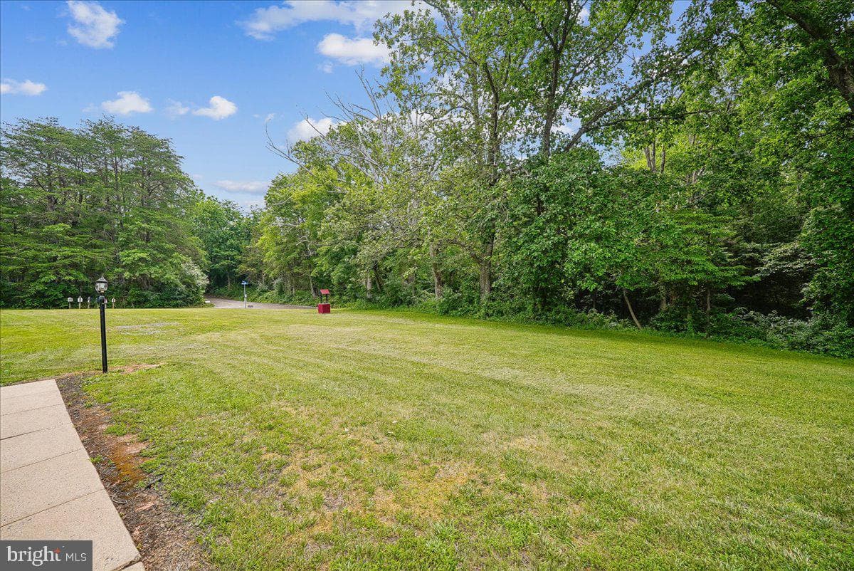 25501 Frosty Meadow Lane photo 5