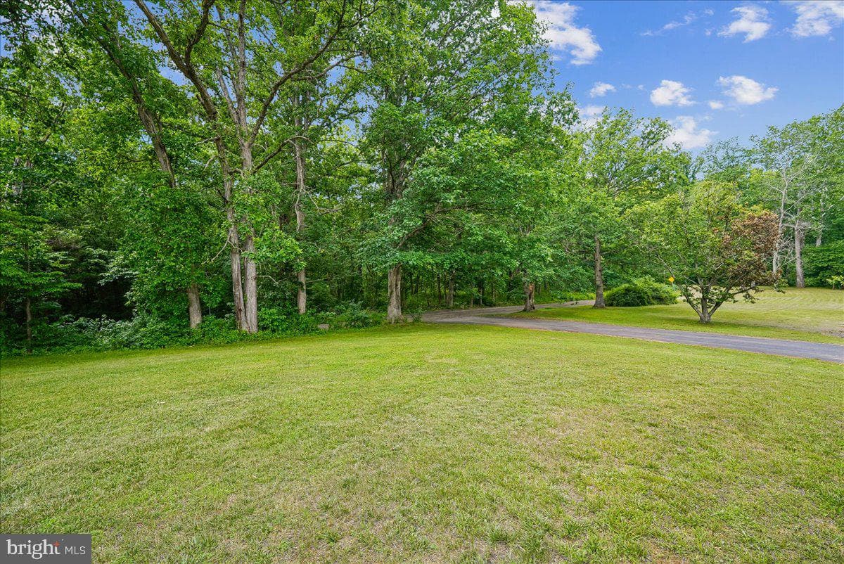 25501 Frosty Meadow Lane photo 6