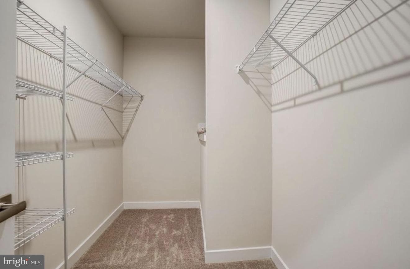43000 Prophecy Terrace photo 14