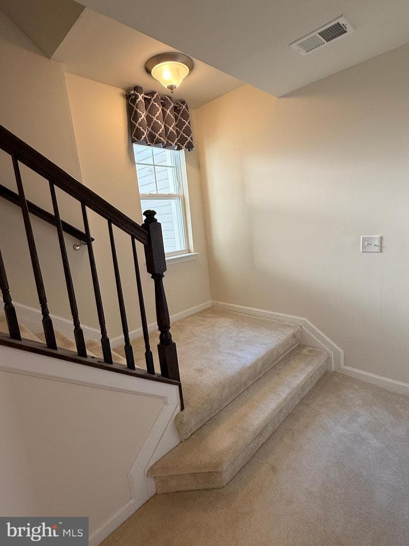 25214 Split Creek Terrace photo 26