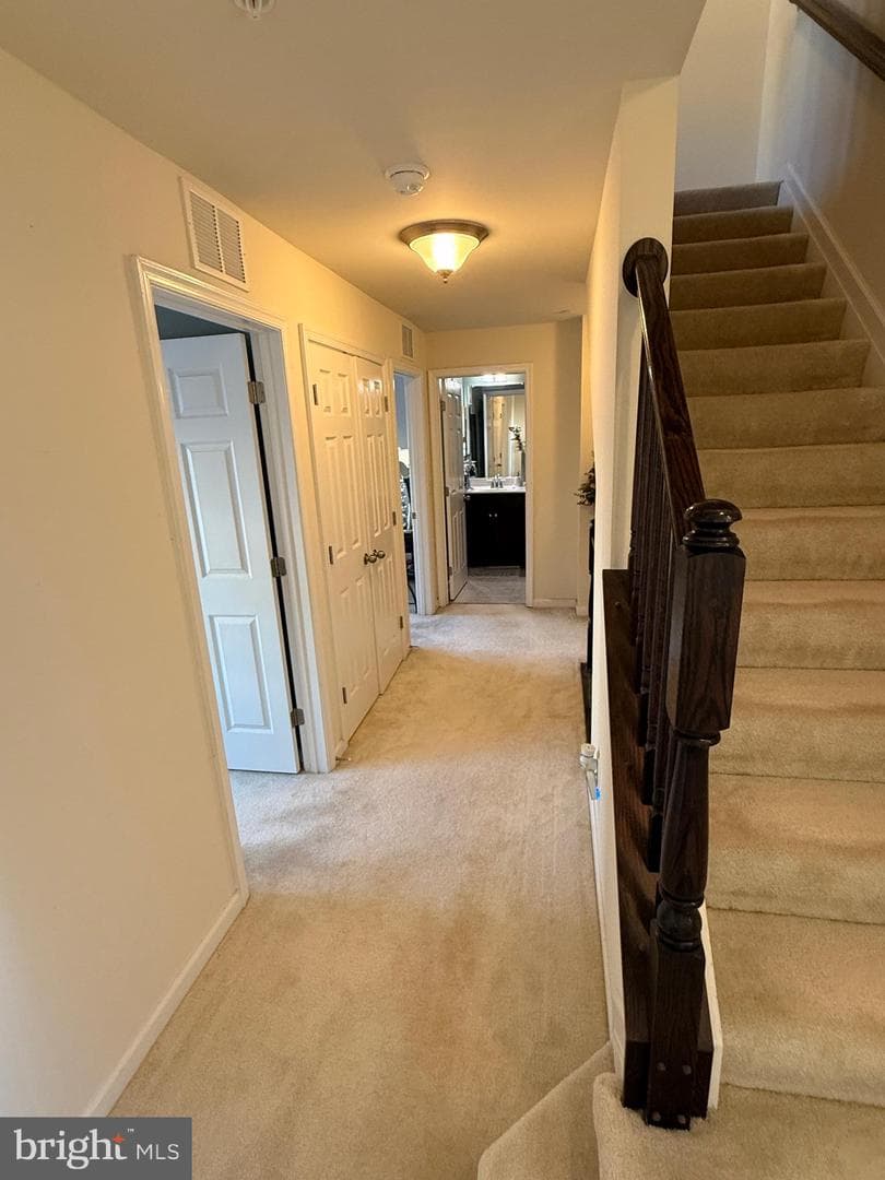 25214 Split Creek Terrace photo 27
