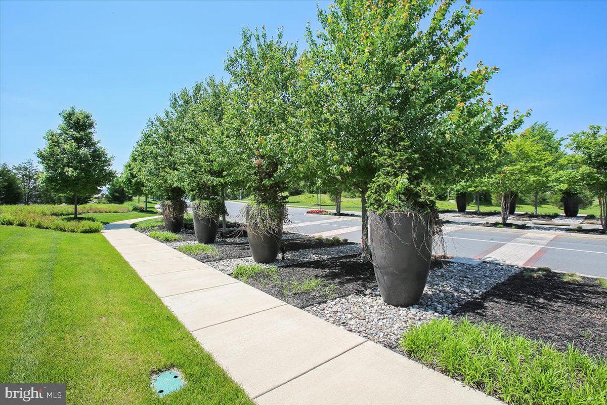 25833 Sycamore Grove Place photo 53