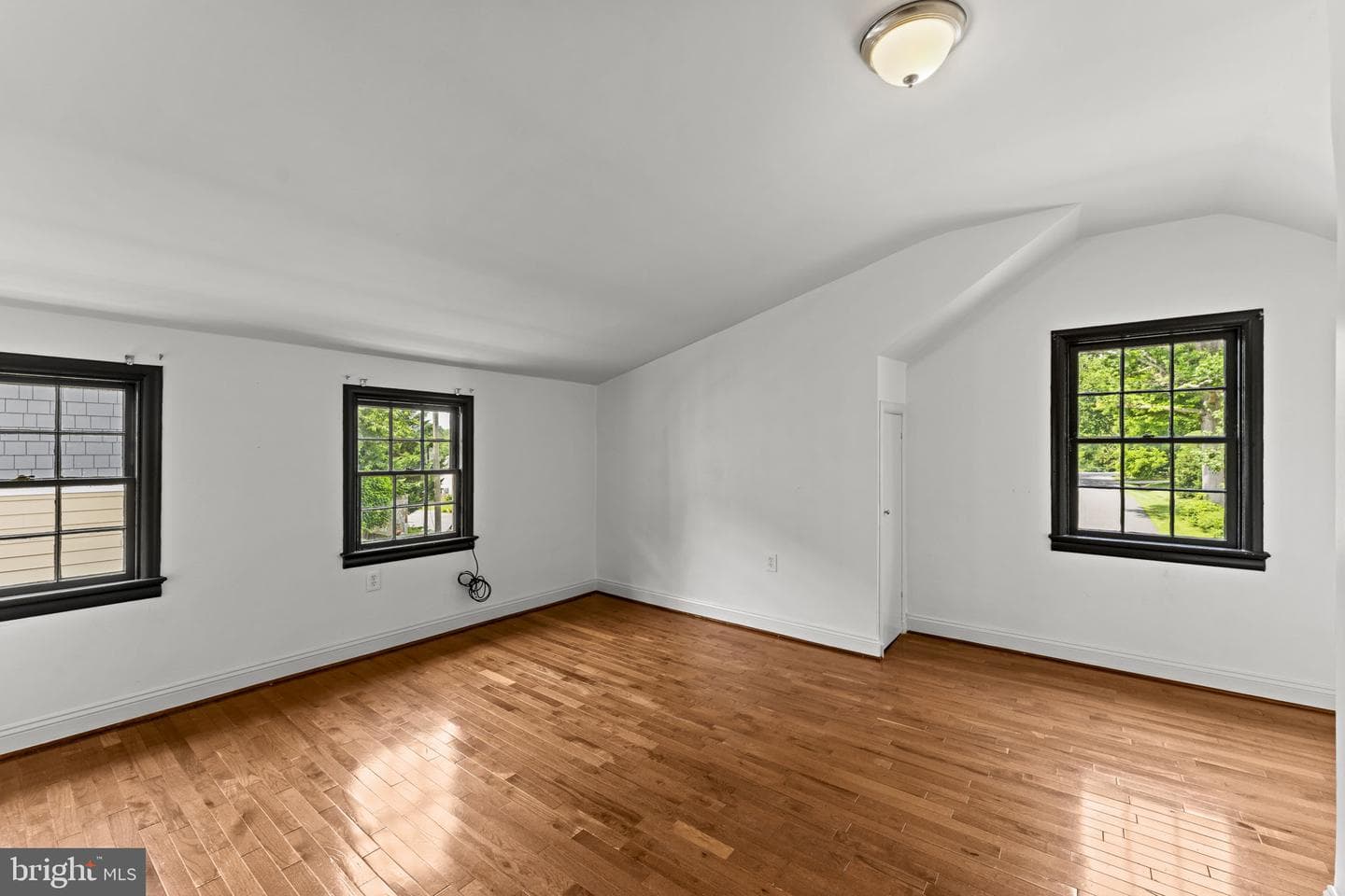 107 Walnut photo 20