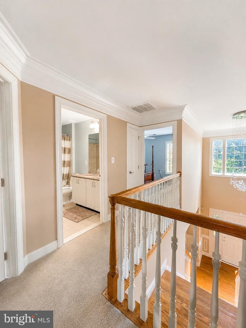 43100 Addlestone Place photo 34
