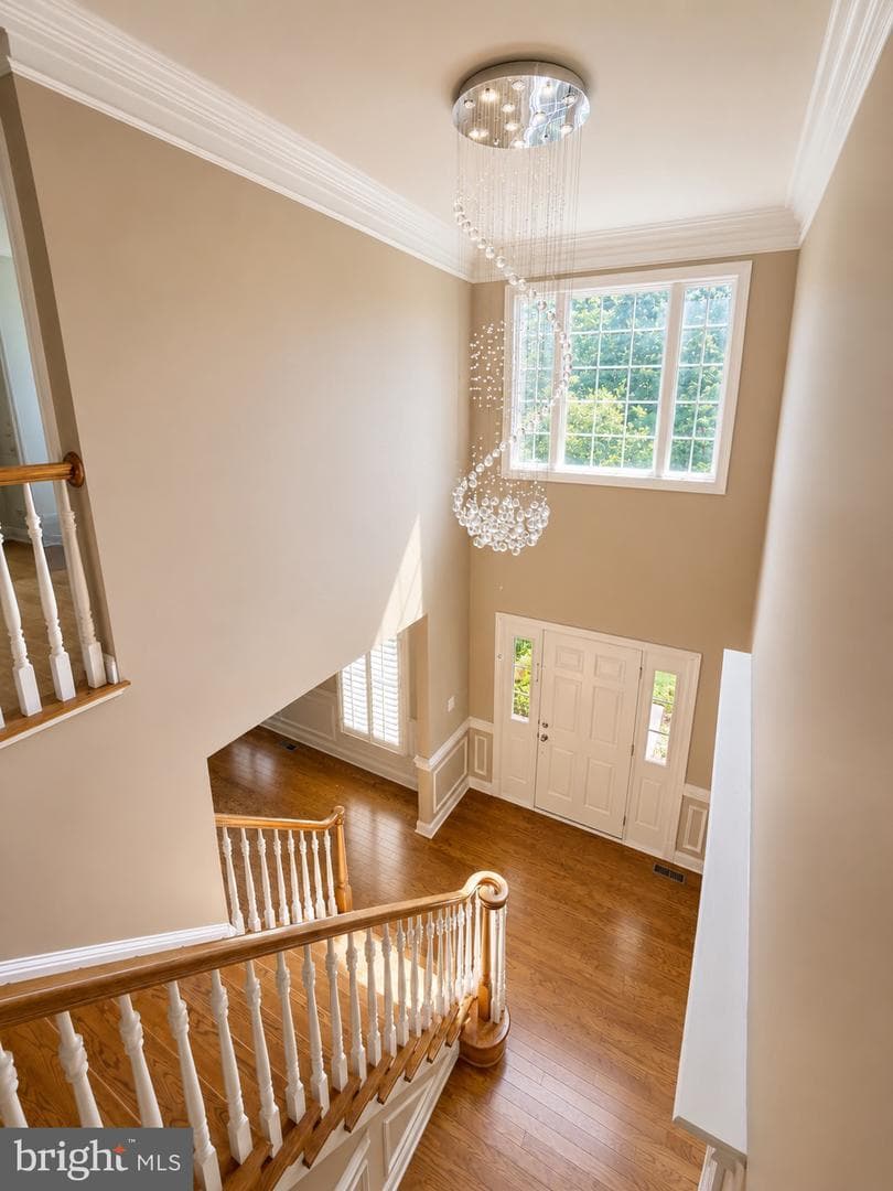 43100 Addlestone Place photo 38