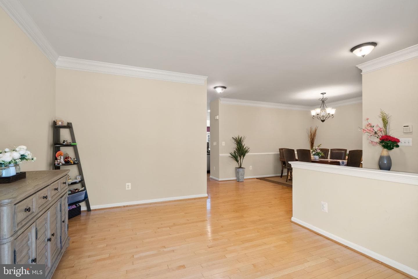 43258 Somerset Hills Terrace photo 9
