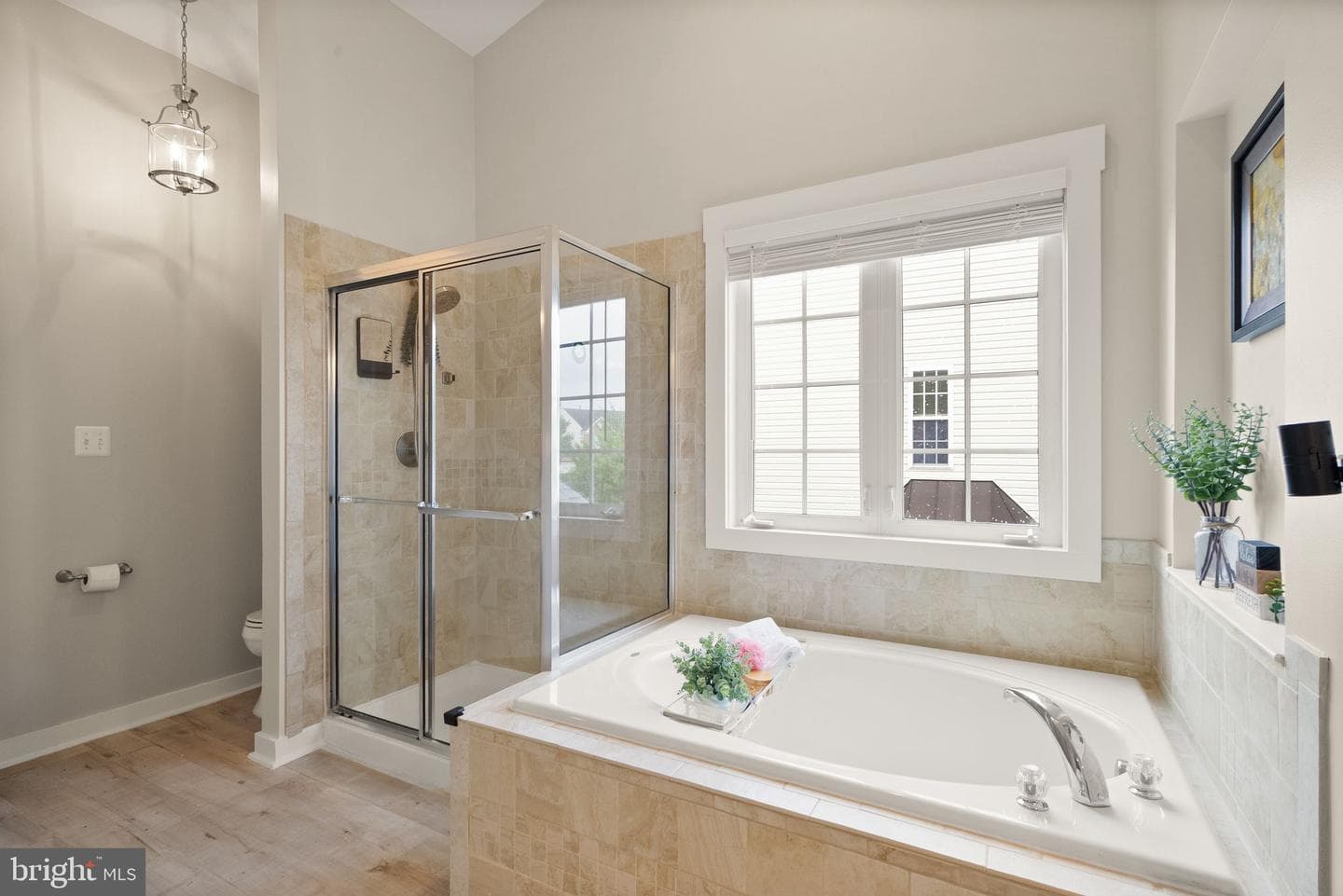 41929 Visionary Court photo 29