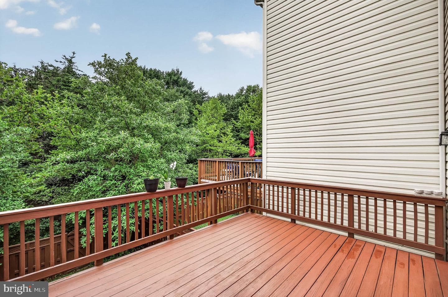 25192 Quartzite Terrace photo 33