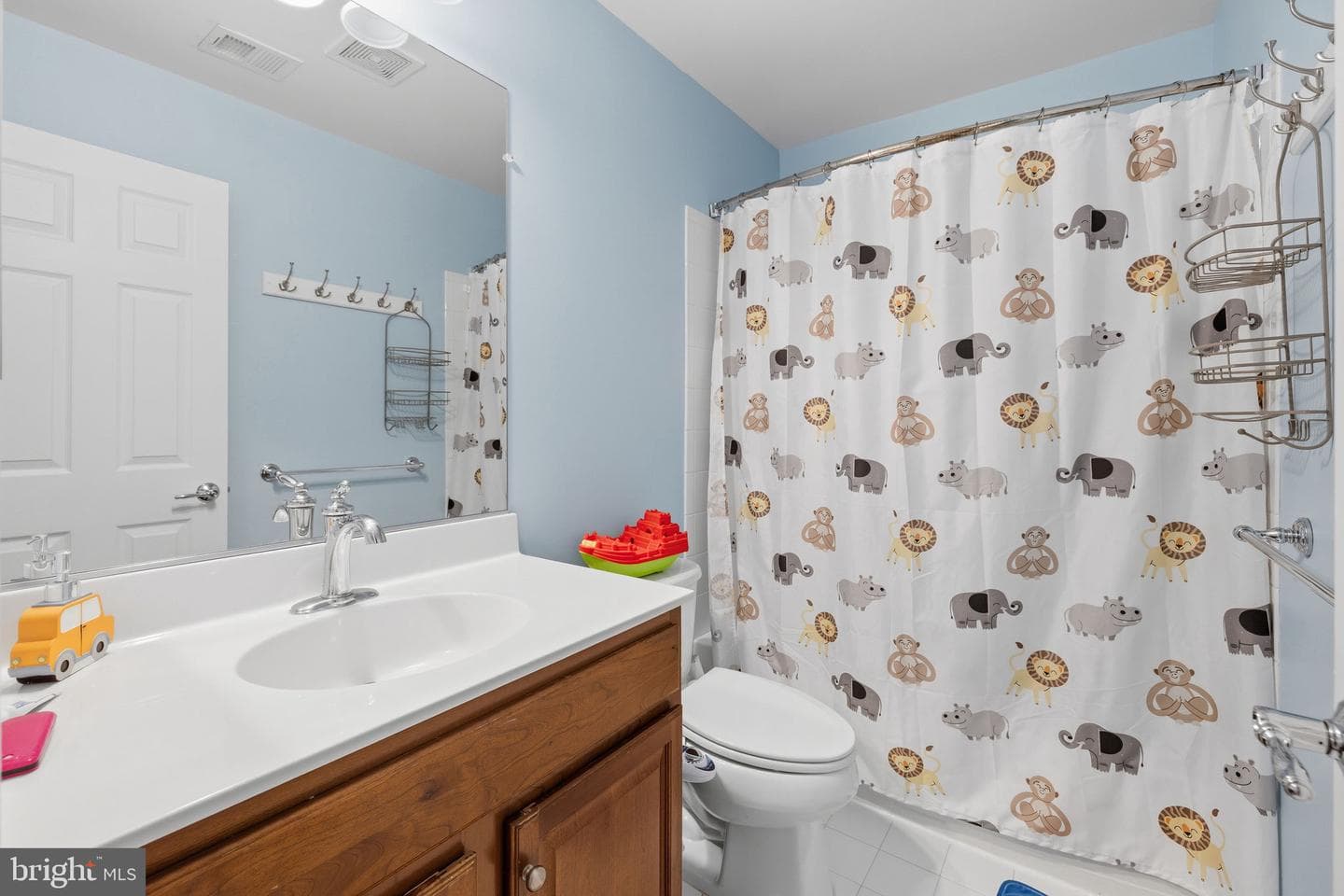 43629 White Cap Ter photo 31