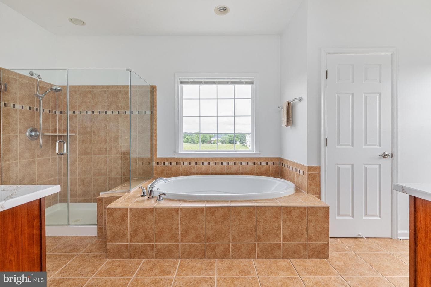 38786 Rambling Farm Drive photo 45