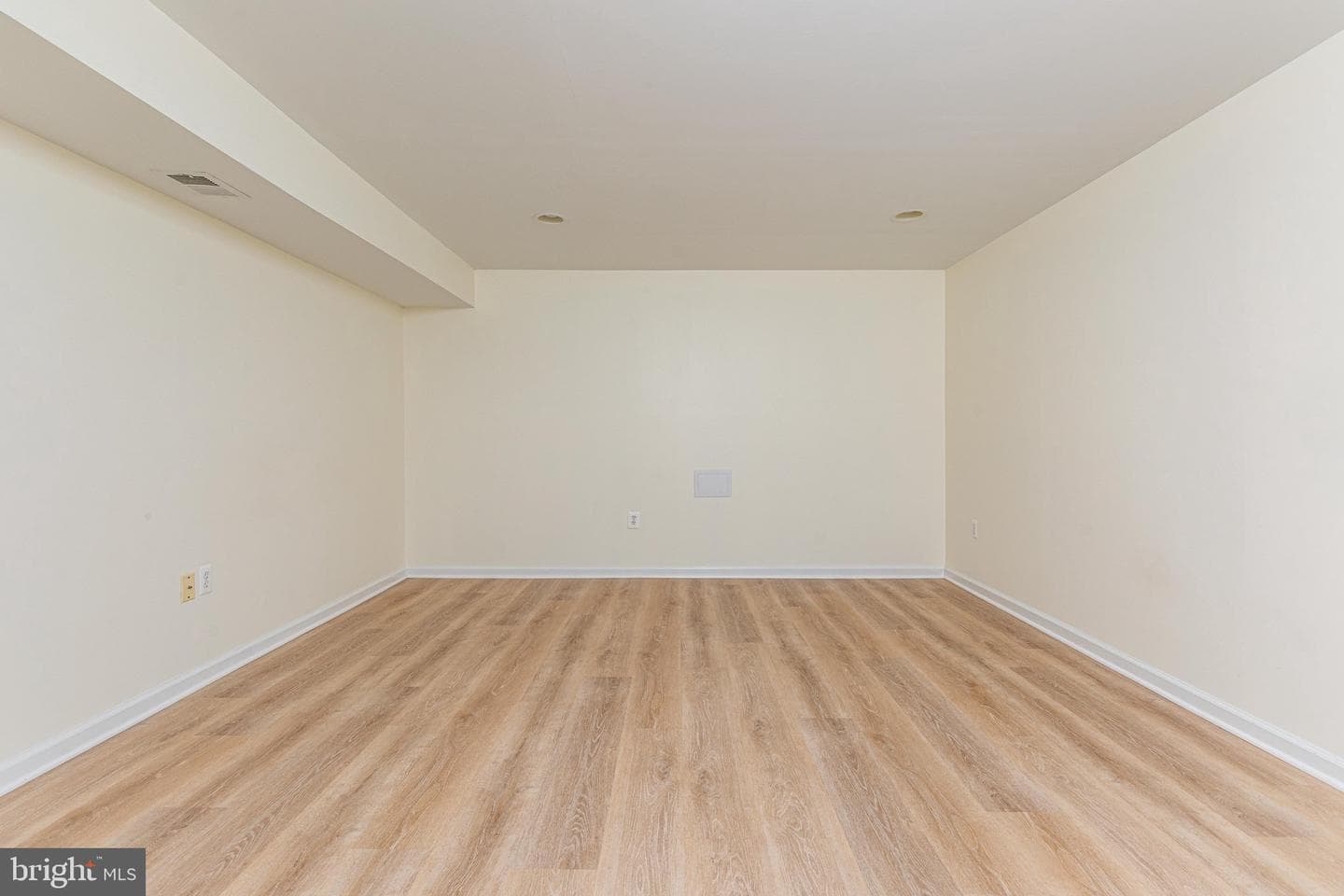 38786 Rambling Farm Drive photo 64