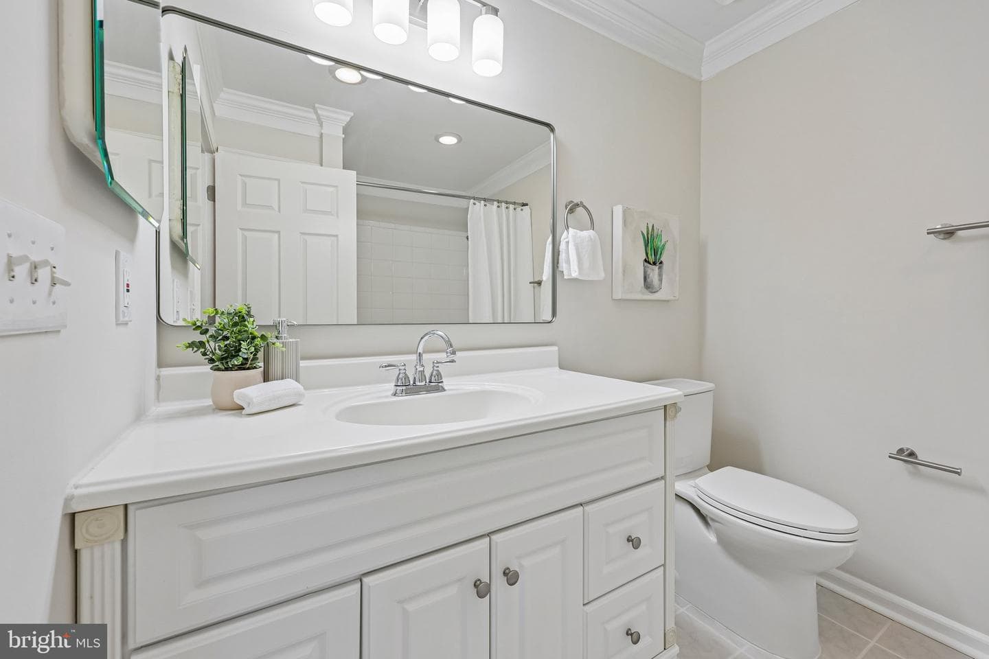 2 Beecher Place photo 24